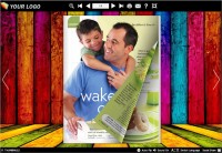   Flash Magazine Themes for Colorful Style