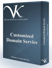   Customized Domain Service