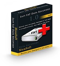   Easy FAT Data Recovery