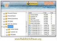   Fat Disk Undelete Software