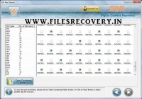   Camera File Recovery Tools