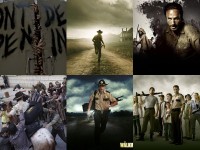   The Walking Dead Windows Theme