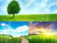   Happy Spring Animated Wallpaper