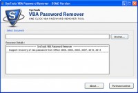   Remove VBA Password