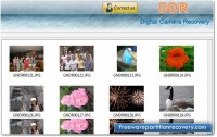  Deleted Photos Recovery Software