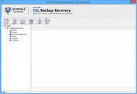   MS SQL Server Restore Backup File