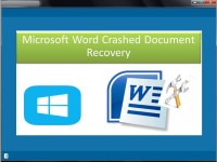   Microsoft Word Crashed Document Recovery