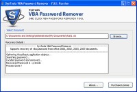   Remove VBA Password Software