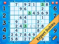   Expert Summer Sudoku