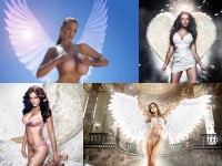   Angels Hot Animated Wallpaper
