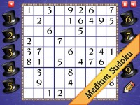   Medium New Years Sudoku