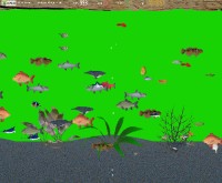   3D Fish Game