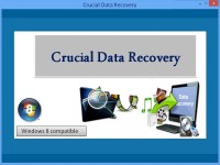   Crucial Data Recovery