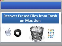   Recover Erased Files from Trash on Mac
