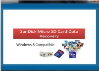   SanDisk Micro SD Card Data Recovery
