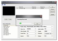   A123 3GP to AVI WMV DVD MPEG Converter