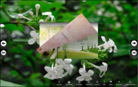   FlipBook Creator Themes Pack Calendar Lilac