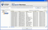   SharePoint Database Recovery