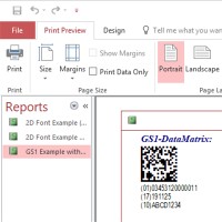   GS1 Data Matrix Font and Encoder Suite