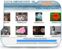   Digital Camera Recovery