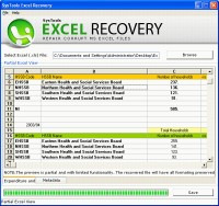   Spread Sheet Recovery