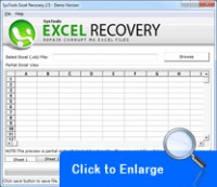   Excel Recovery