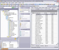   EMS SQL Manager for SQL Server Freeware