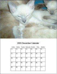   Your Very Own Custom Made Calender Custom Made To Your Exact Specifications