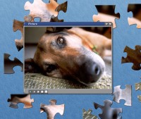   dogpuzzle