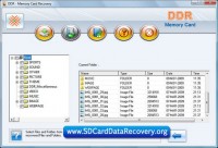   SD Card Data Recovery