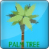   Palm Tree
