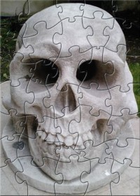   GAFB Stone Skull Puzzle