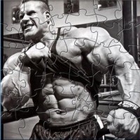   Bodybuilding Puzzle