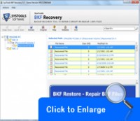   Master Tool For BKF Recovery