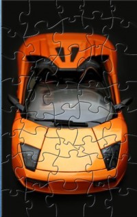   LE Sports Car Puzzle