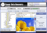   Data Recovery - File Recovery