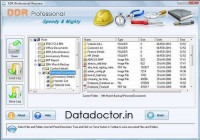   Free Recovery Software