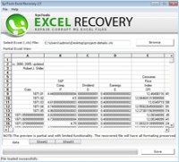   XLSX Data Recovery with Software