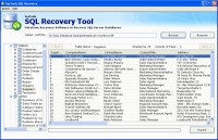   SQL 2008 r2 Database Recovery
