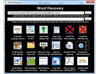  S2 Services Word Recovery