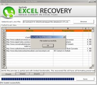   Excel File Recovery Application