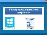   Recycle Bin Recovery Software