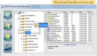   Windows Data Recovery