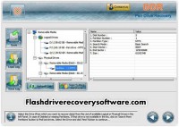   Flash Drive Recovery Software