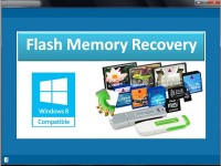   Flash Memory Recovery