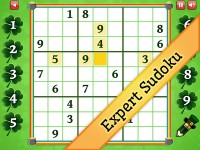   Expert St. Patricks Day Sudoku
