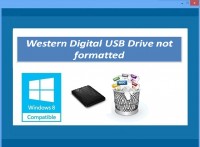   Western Digital USB Drive not formatted