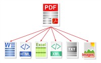   PDF Focus Net