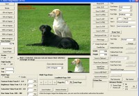   Image Viewer CP Pro SDK Winform Control