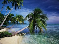   Beautiful Tropical Islands vol1